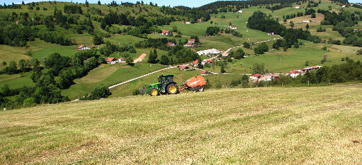 Le fenaison en été