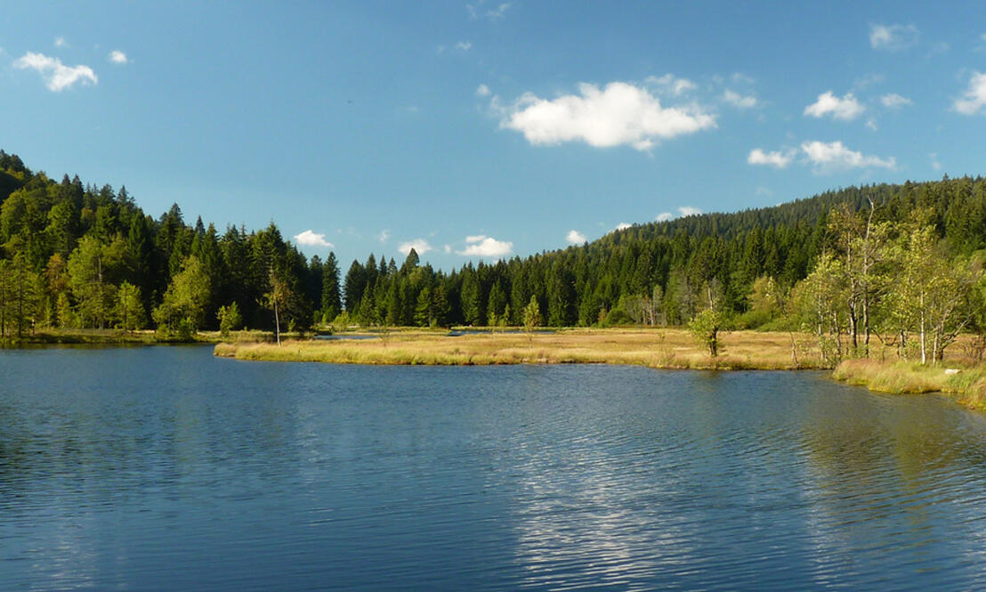 Le gîte de la Barre dans les Hautes-Vosges